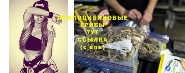 стаф Нестеровская