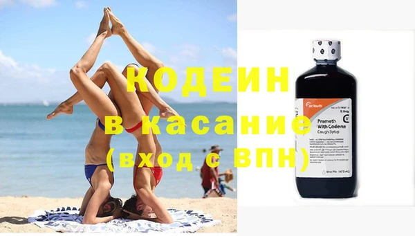 стаф Нестеровская