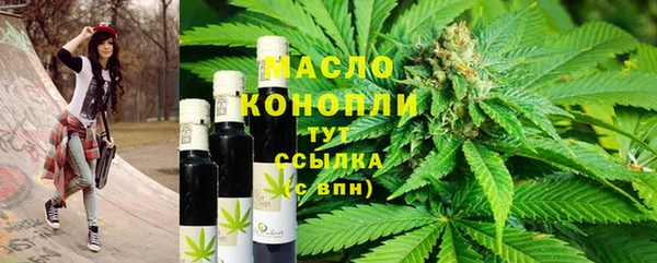 стаф Нестеровская