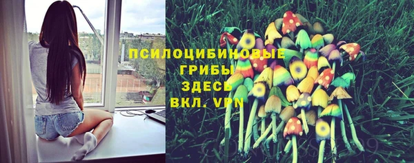 mix Калининец