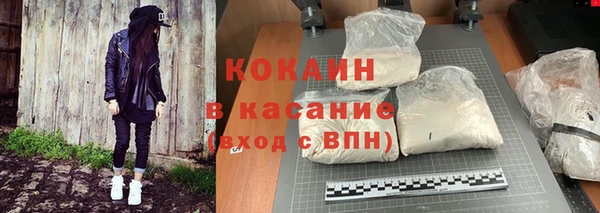 стаф Нестеровская