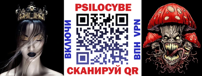 kraken ссылки  Александров  нарко площадка какой сайт  Галлюциногенные грибы Psilocybe 