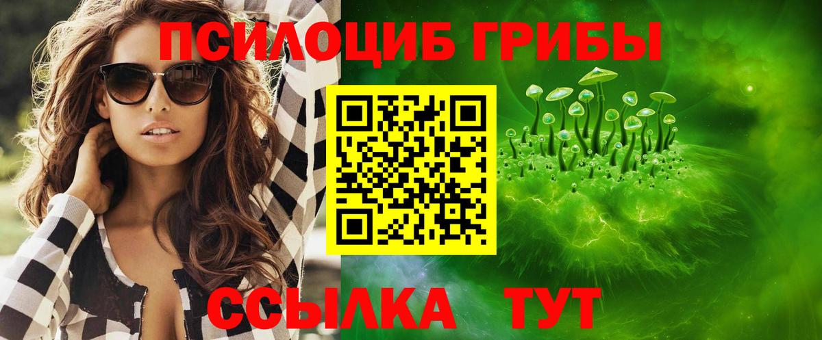 Галлюциногенные грибы мицелий  Александров 