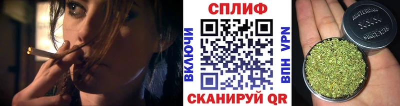 Каннабис планчик  Александров 